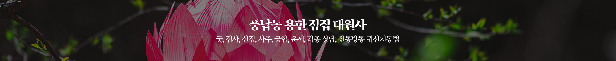 대원사_이미지pc